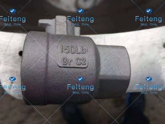 Feiteng ASTM B367 Gr2 150LB Titanium Castings